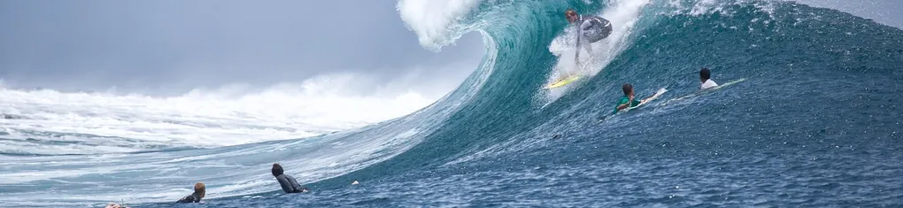 people surfing big wave